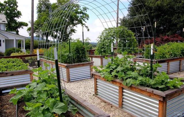 a garden view with a seating space
