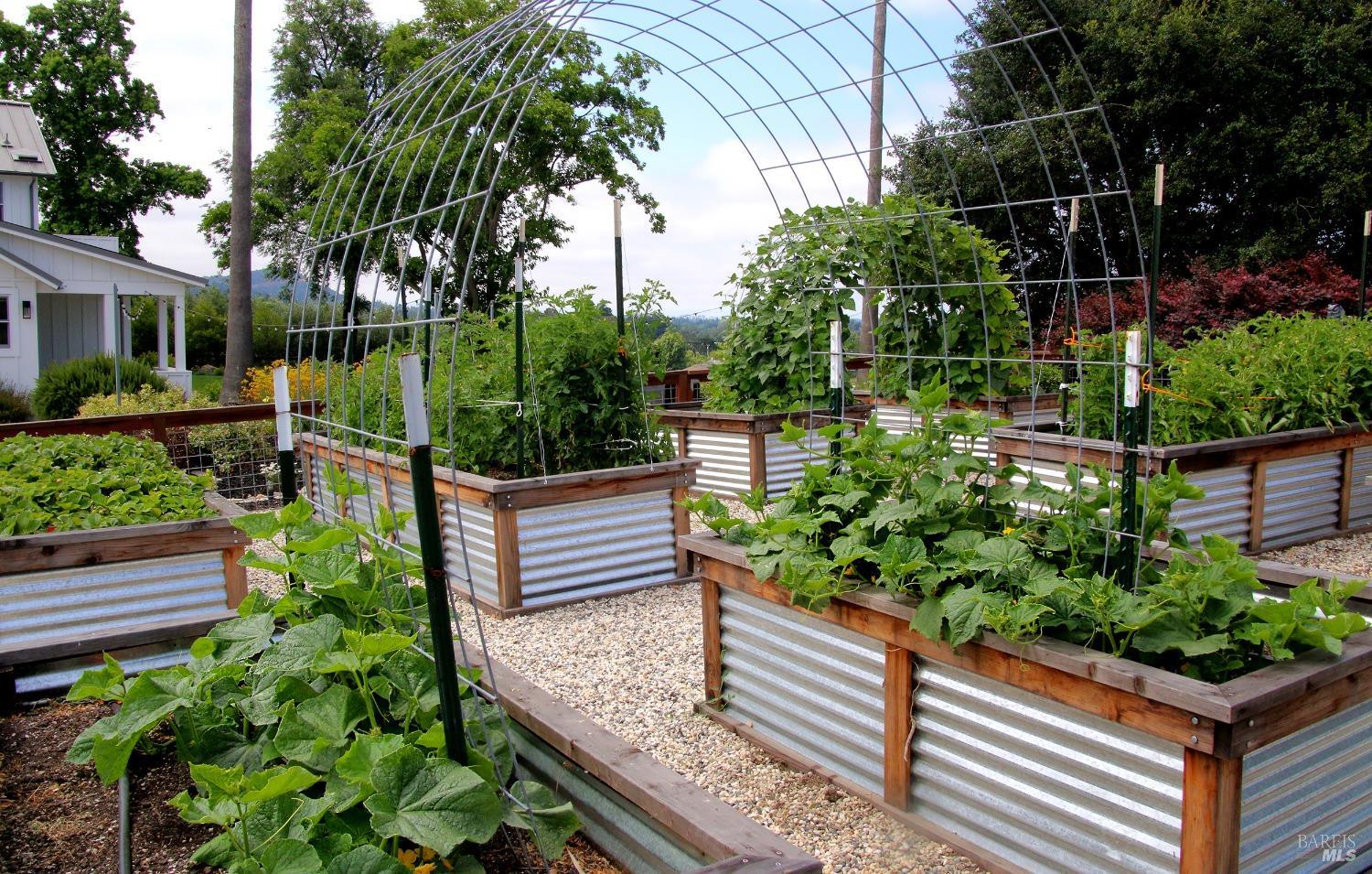 1531 Estee Avenue Napa, CA 94558 - Photo 42 of 49 a garden view with a seating space