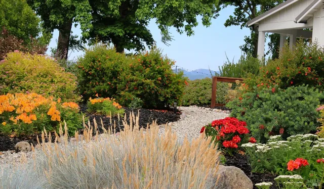a view of a lot of flowers and trees