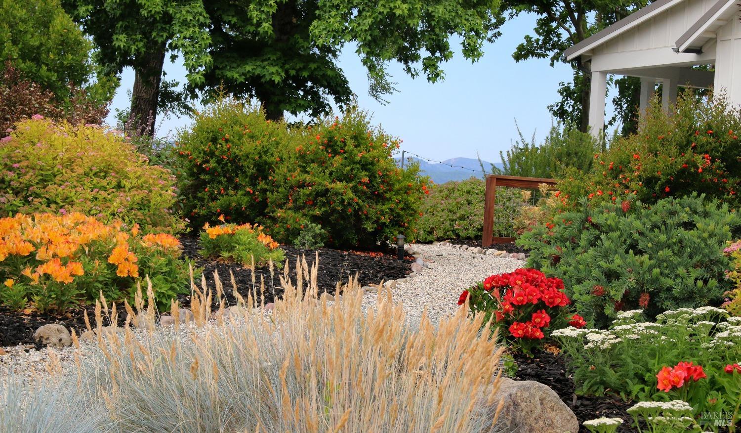 1531 Estee Avenue Napa, CA 94558 - Photo 45 of 49 a view of a lot of flowers and trees