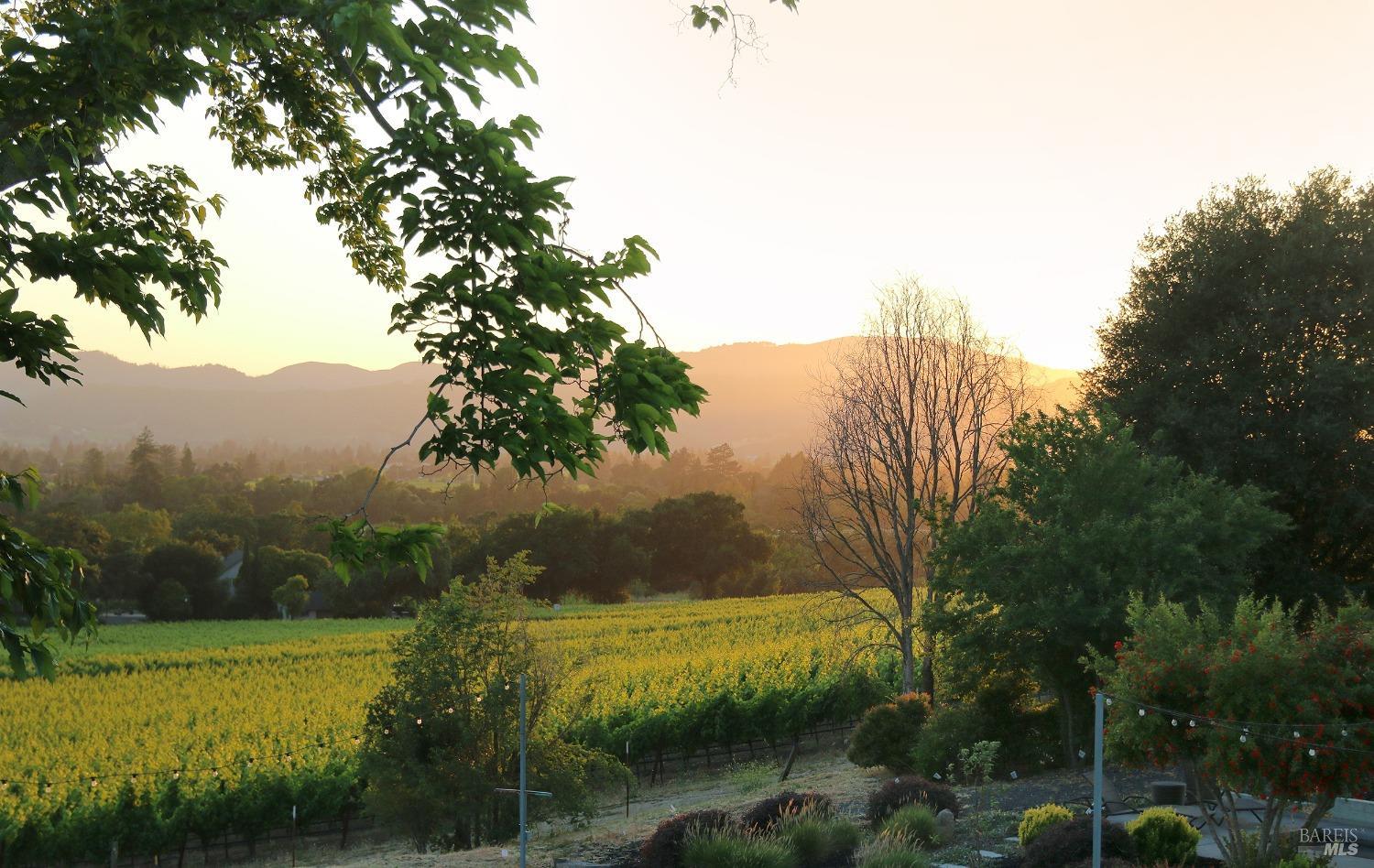 1531 Estee Avenue Napa, CA 94558 - Photo 46 of 49 a view of a lake with a yard