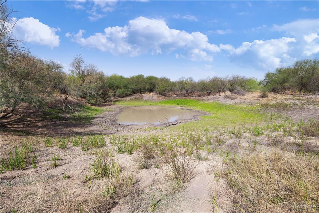 Lot 9 Los Frontones Street Rio Grande City, TX 78582 - Photo 5 of 11