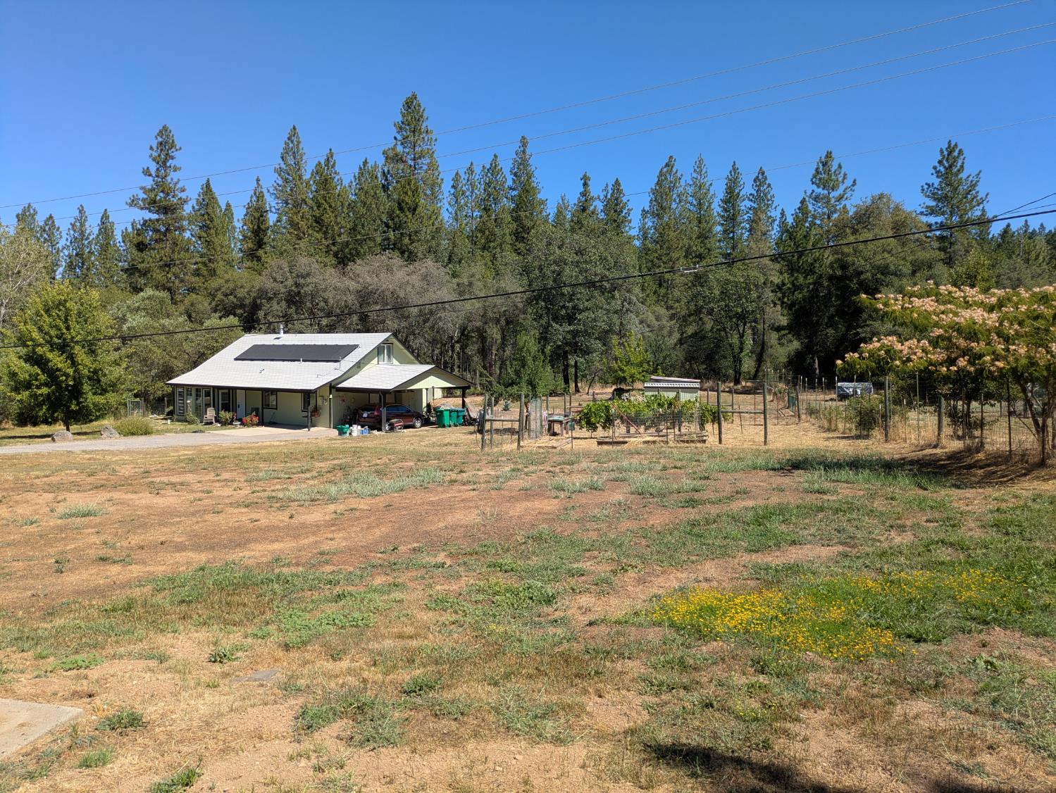 12986 Rough And Ready Highway Rough and Ready, CA 95975 - Photo 4 of 28
