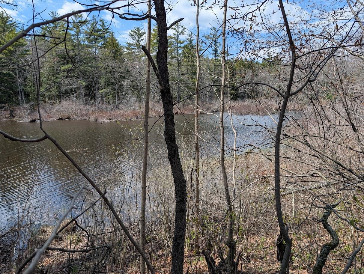 252 Merrymeeting Road New Durham, NH 03855 - Photo 33 of 36