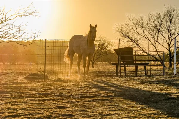 $3,950,000 | 2387 Farm To Market 503, Coleman, TX 76834