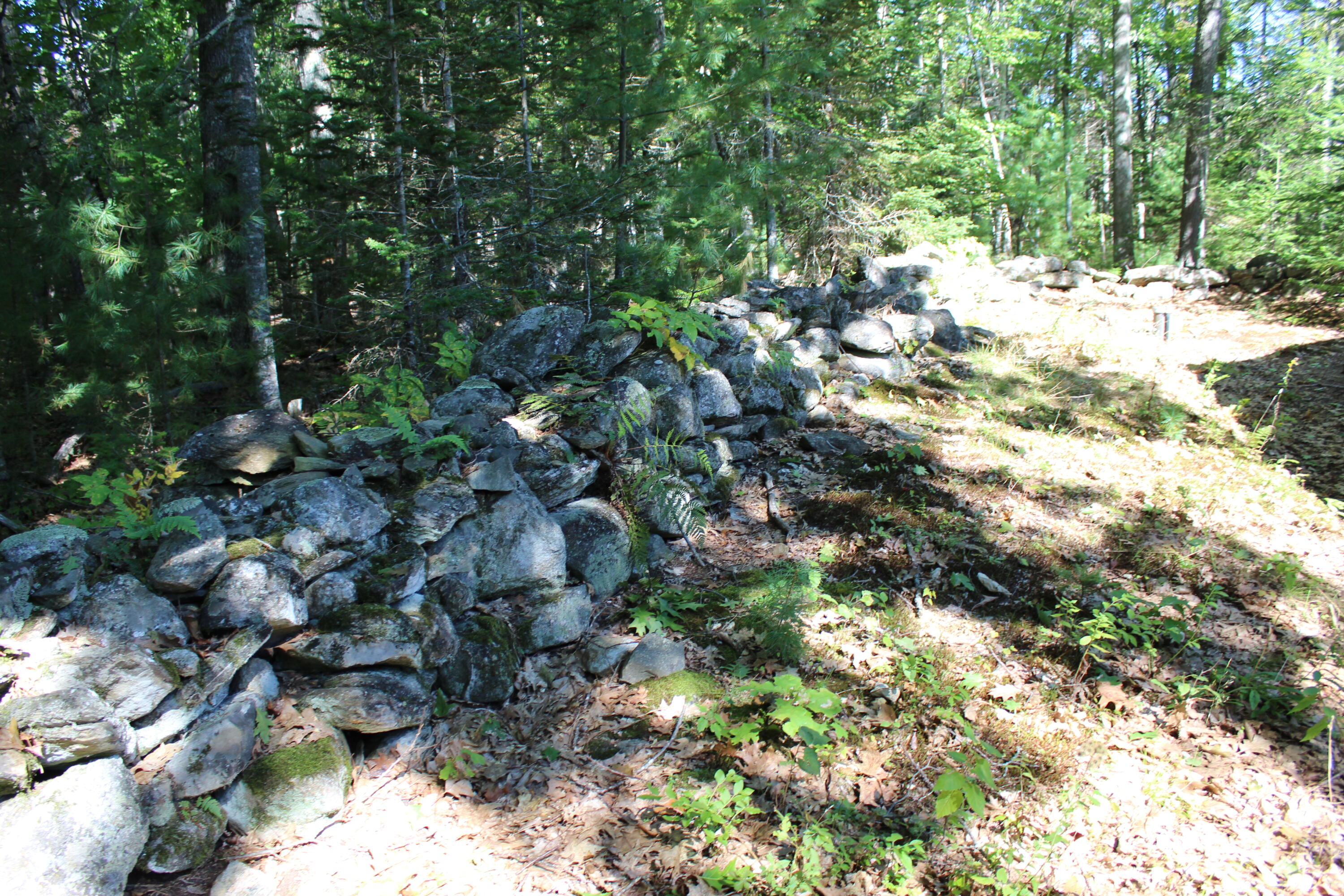 16 Conners Road Bucksport, ME 04416 - Photo 31 of 34 IMG_0043