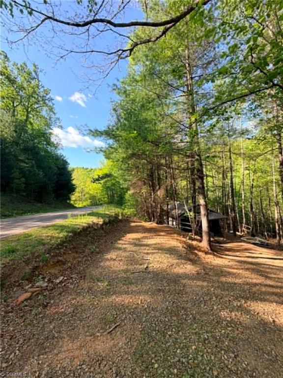 Tbd Shoe Road Millers Creek, NC 28651 - Photo 3 of 18