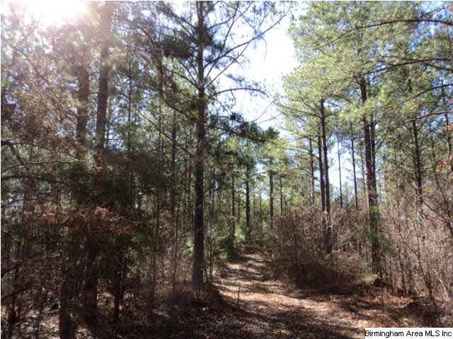151 County Road, Unit 40 Jemison, AL 35085 - Photo 1 of 10