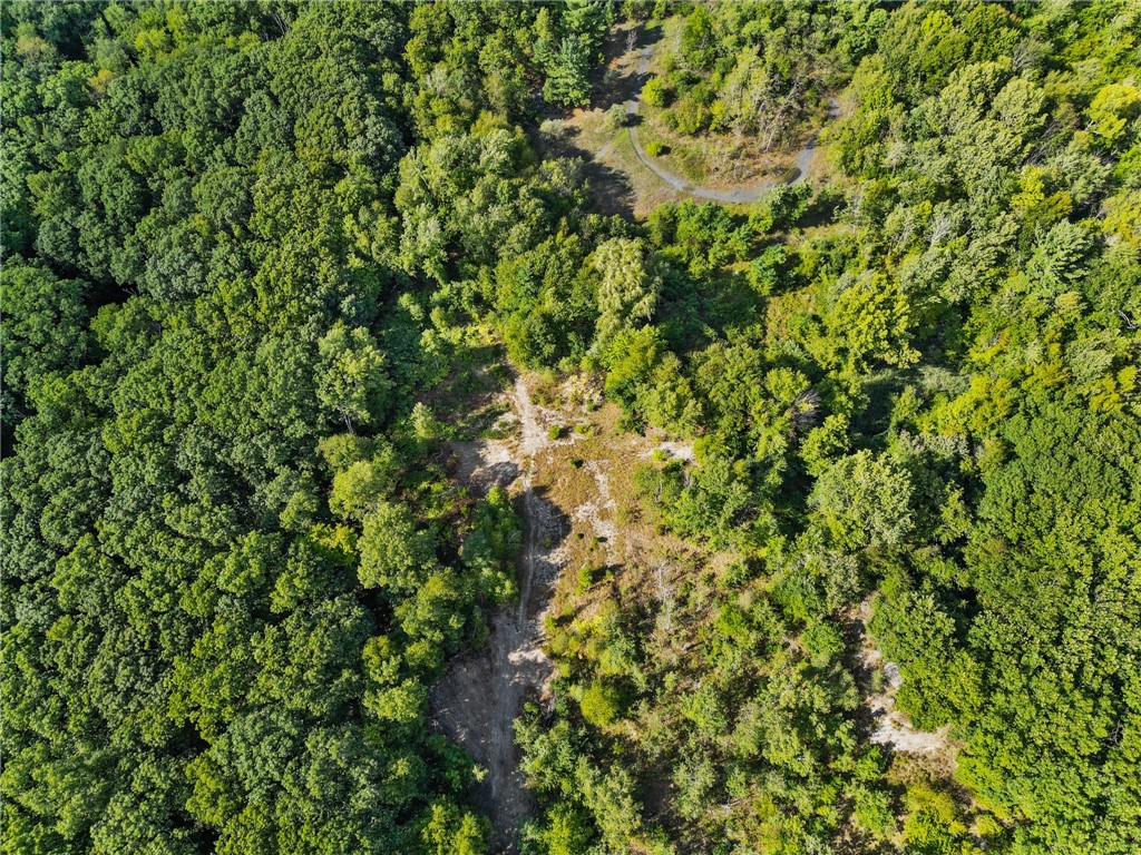 4 Carnation Street Cumberland, RI 02864 - Photo 9 of 10