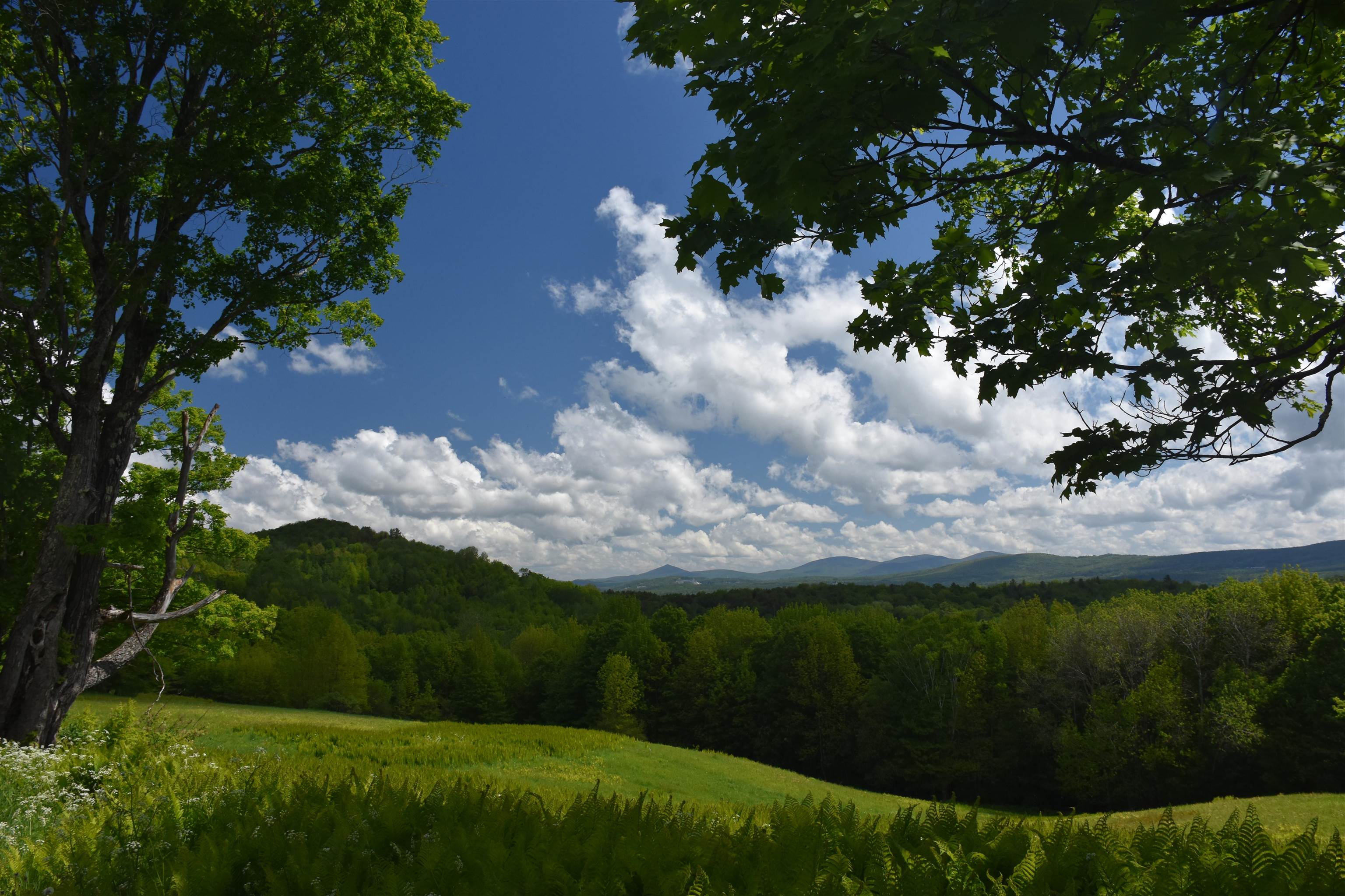 1574 Weir Road Williamstown, VT 05679 - Photo 60 of 60