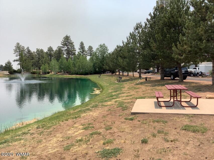 2263 Water'n Hole Road Overgaard, AZ 85933 - Photo 19 of 19 Gallery Image 19
