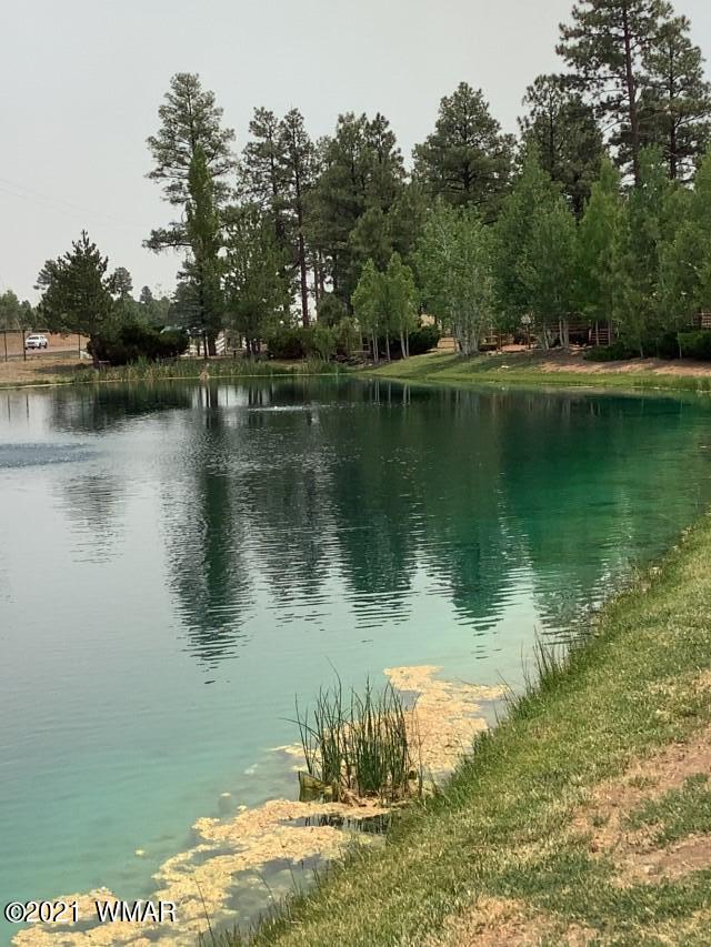 2263 Water'n Hole Road Overgaard, AZ 85933 - Photo 2 of 19 Gallery Image 2