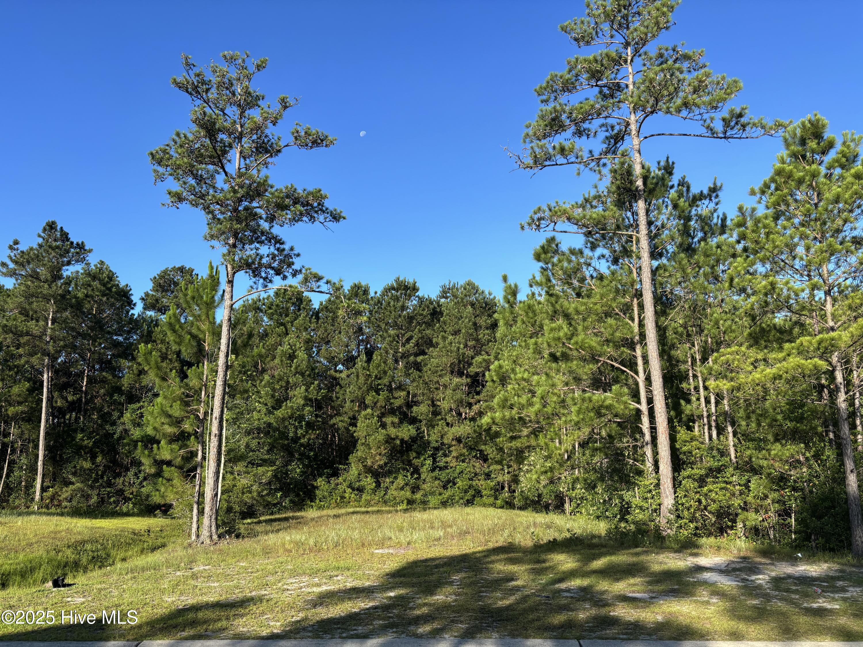 957 Ashburton Road Southeast Bolivia, NC 28422 - Photo 1 of 23 957