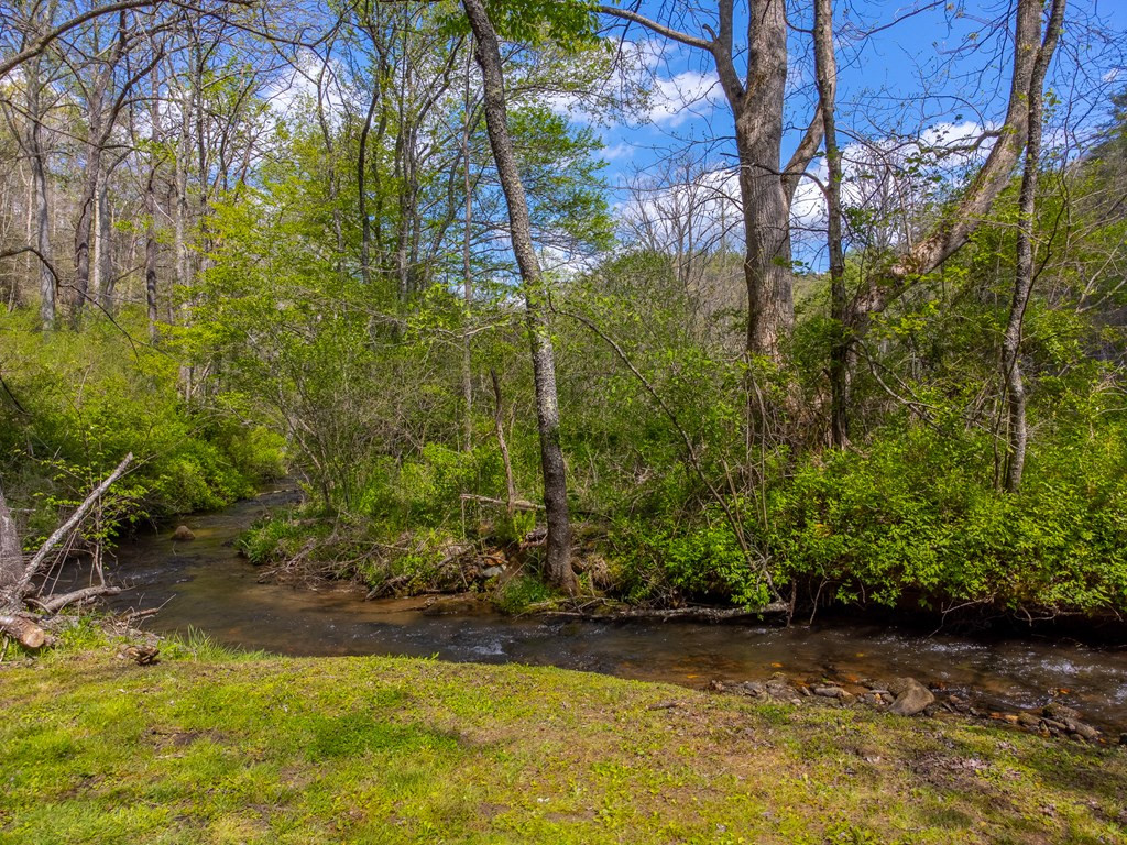 1303 Atoah Road Robbinsville, NC 28771 - Photo 42 of 62