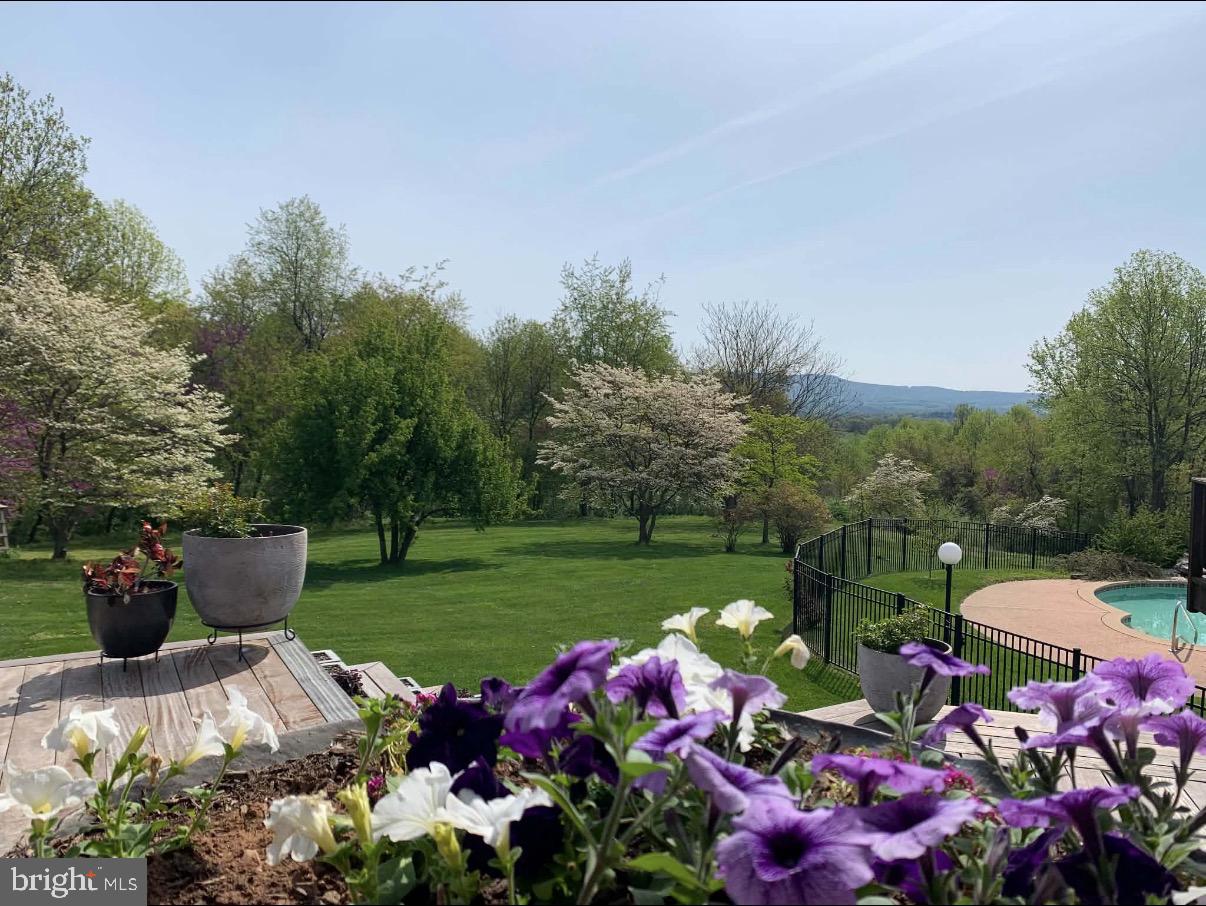 9237 Frostown Road Middletown, MD 21769 - Photo 84 of 113 View of flowering trees