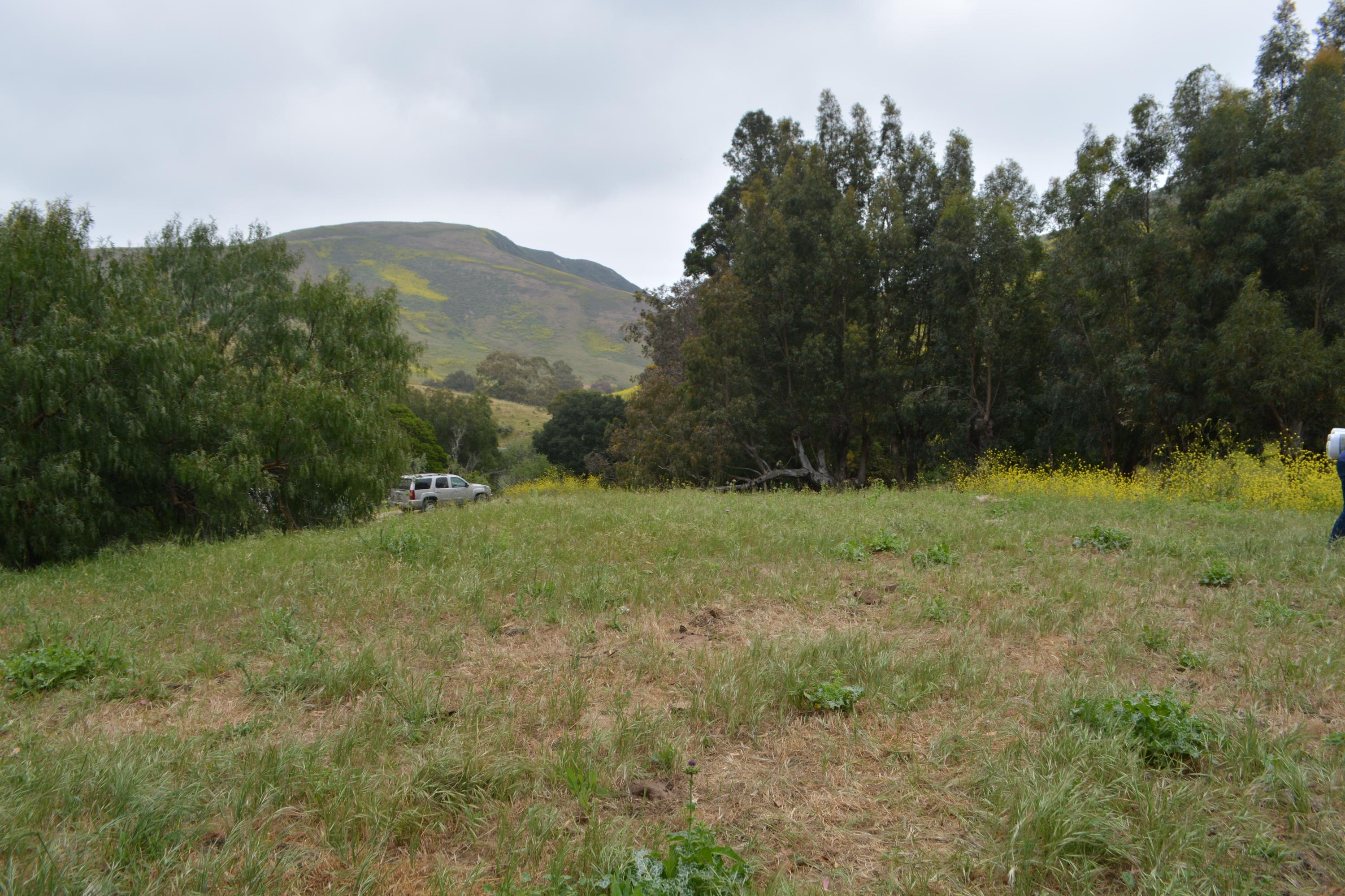 67 Hollister Ranch Road Goleta, CA 93117 - Photo 4 of 14 DSC_0695