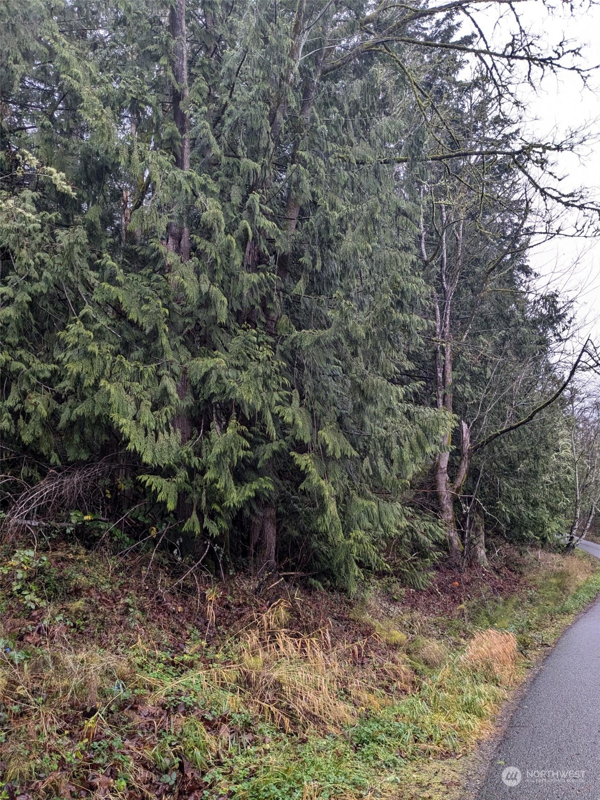 0 West Road Sedro-Woolley, WA 98284 - Photo 5 of 10 a view of a yard