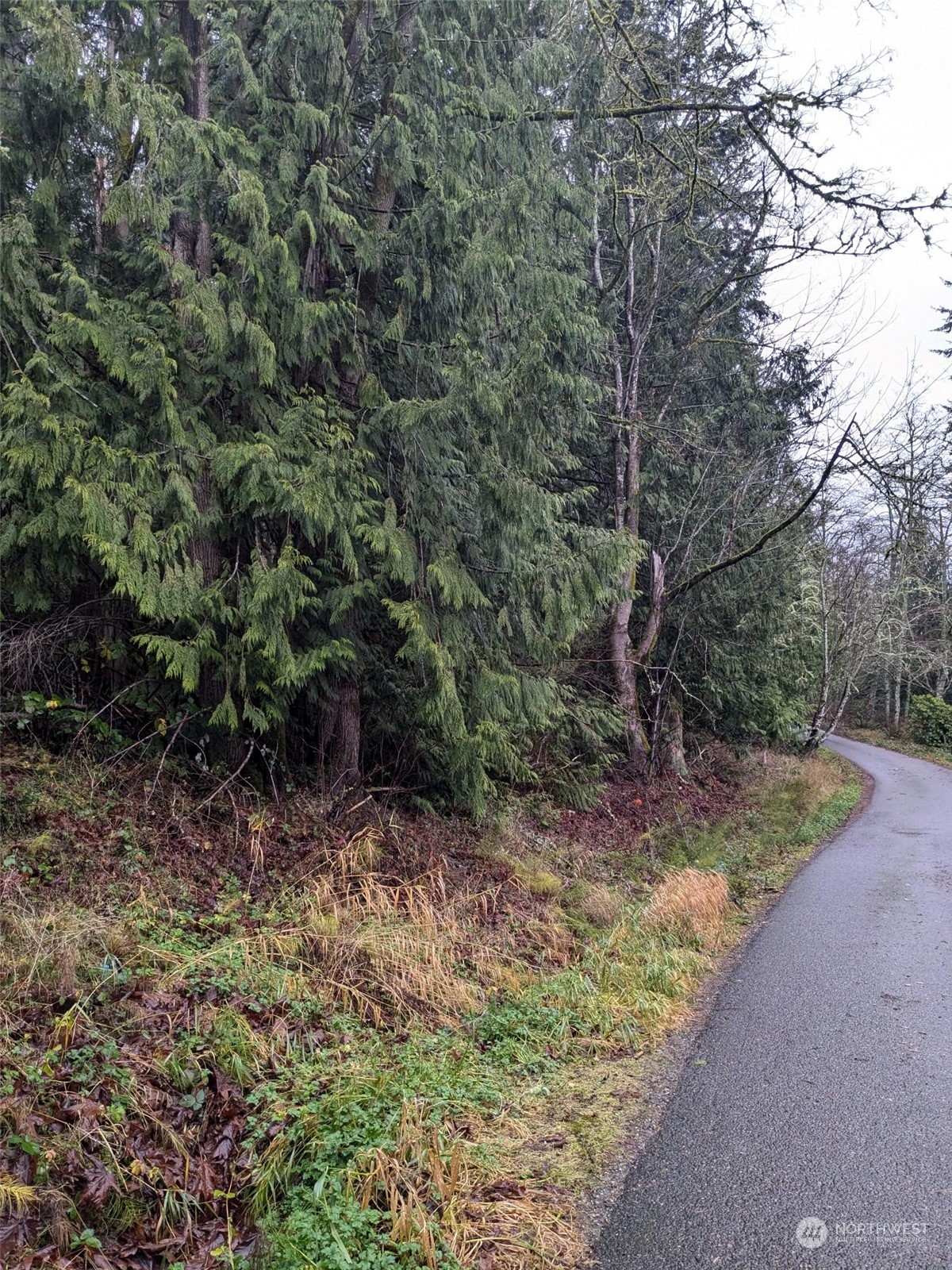 0 West Road Sedro-Woolley, WA 98284 - Photo 6 of 10 a view of a yard with plants and trees