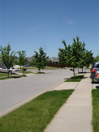 852 Cedarwood Road Lexington, KY 40511 - Photo 15 of 15 Street scene.