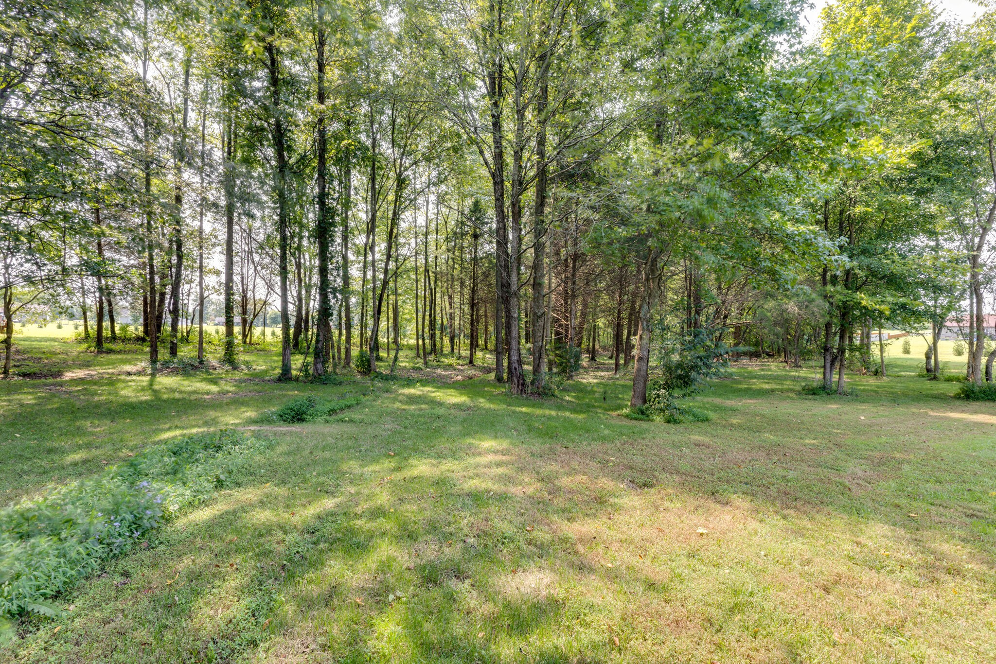 604 Fowler Ford Road Portland, TN 37148 - Photo 34 of 43 a view of field with trees