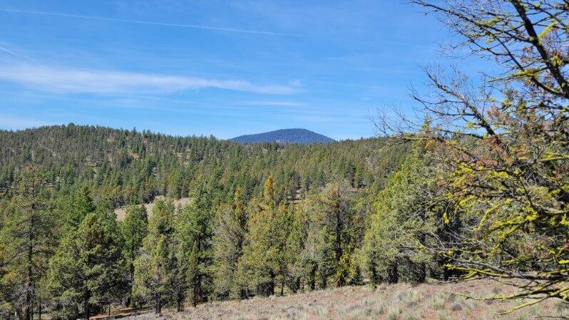 1315 Lofton Creek Road Prineville, OR 97754 - Photo 18 of 61 image000001 (2)