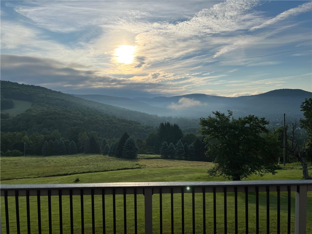 469 Murphy Hill Road Walton, NY 13856 - Photo 10 of 43 SUNRISE
