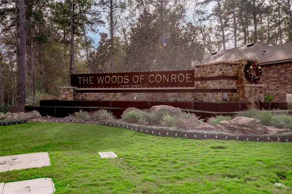 a view of a back yard