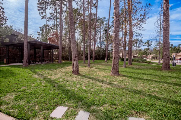 a view of a house with a yard and tree s