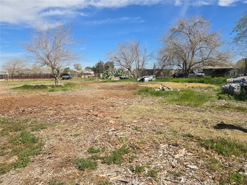 9249 East Ave R 10 Littlerock, CA 93543 - Photo 20 of 22