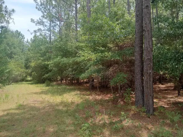 $25,000 | Lot 1074 Duany Drive, Georgetown, SC 29440