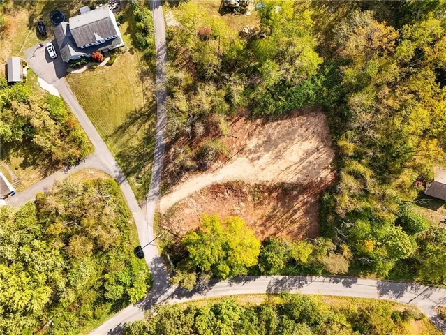 a view of a yard with a tree
