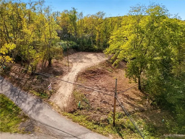 a view of a large yard with large trees