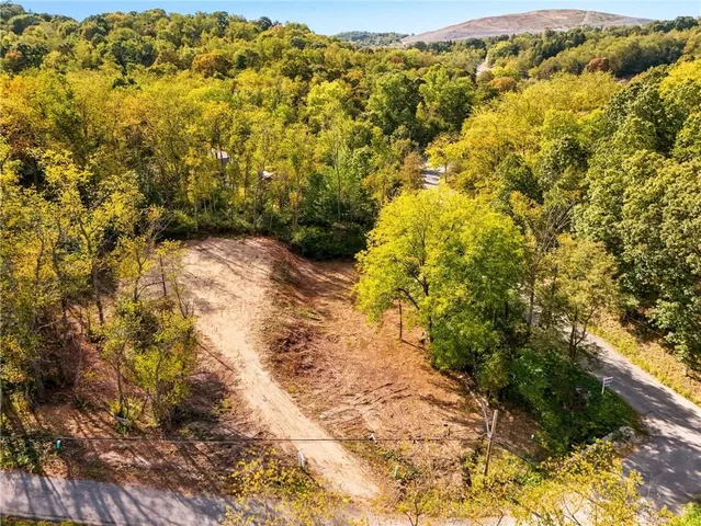 a view of a yard with a trees