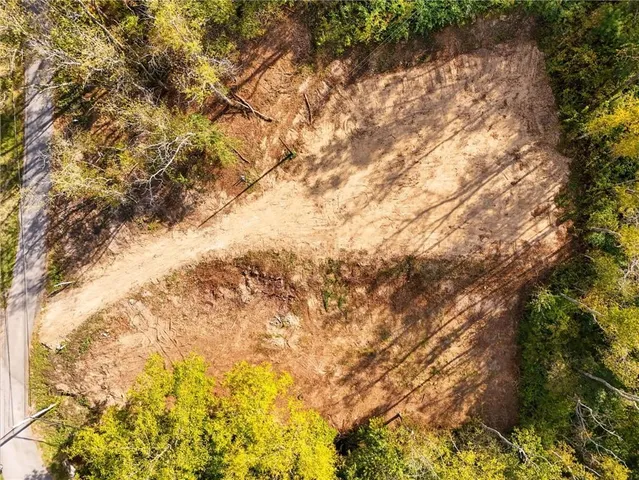 a view of a yard with plants and trees