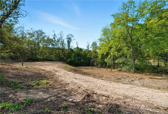 a view of a yard with trees in the background