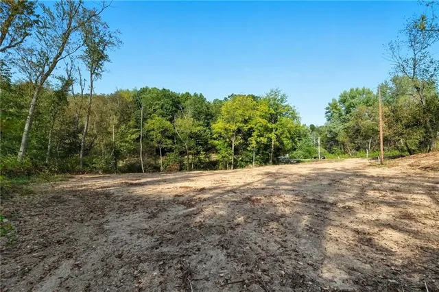 a ground with lots of trees