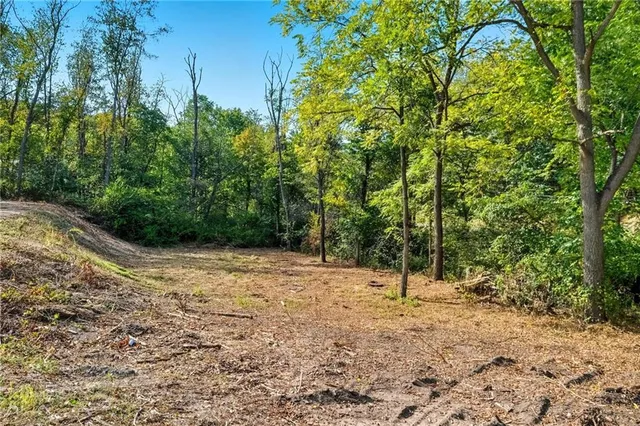 a view of a field with trees in the background