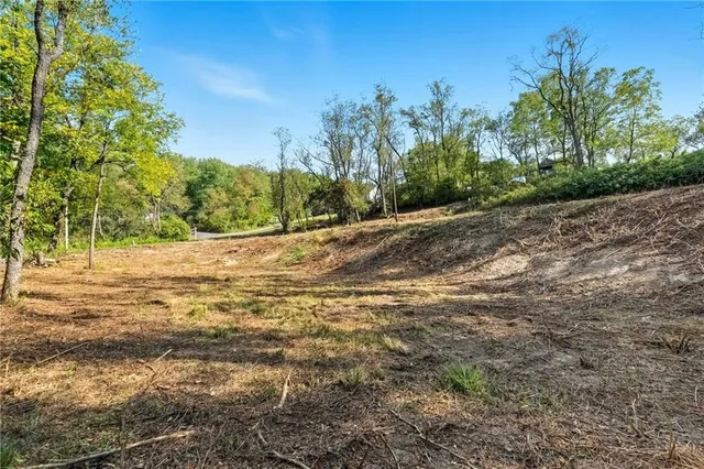 a view of a yard with wooden fence