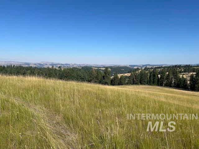 13 Red Fir Road Kooskia, ID 83539 - Photo 9 of 24