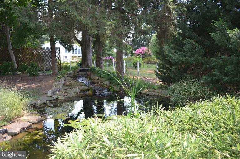 320 Dry Mill Road Southwest Leesburg, VA 20175 - Photo 4 of 10 Large Koi Pond