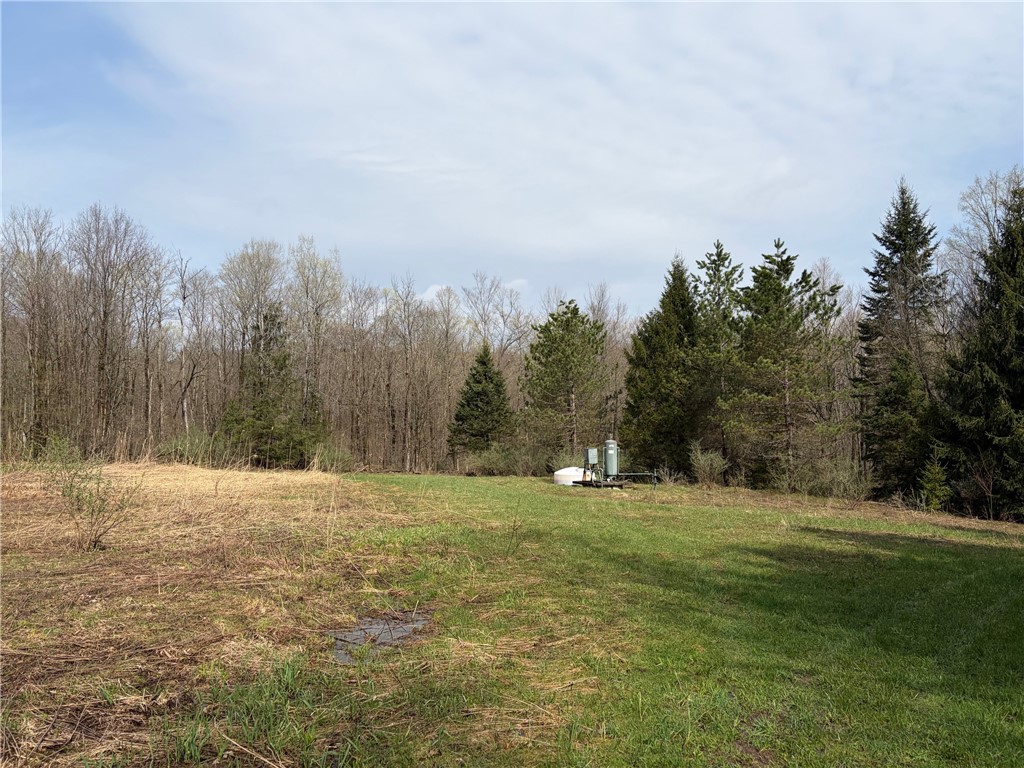 West Hill Road Gerry, NY 14740 - Photo 11 of 20