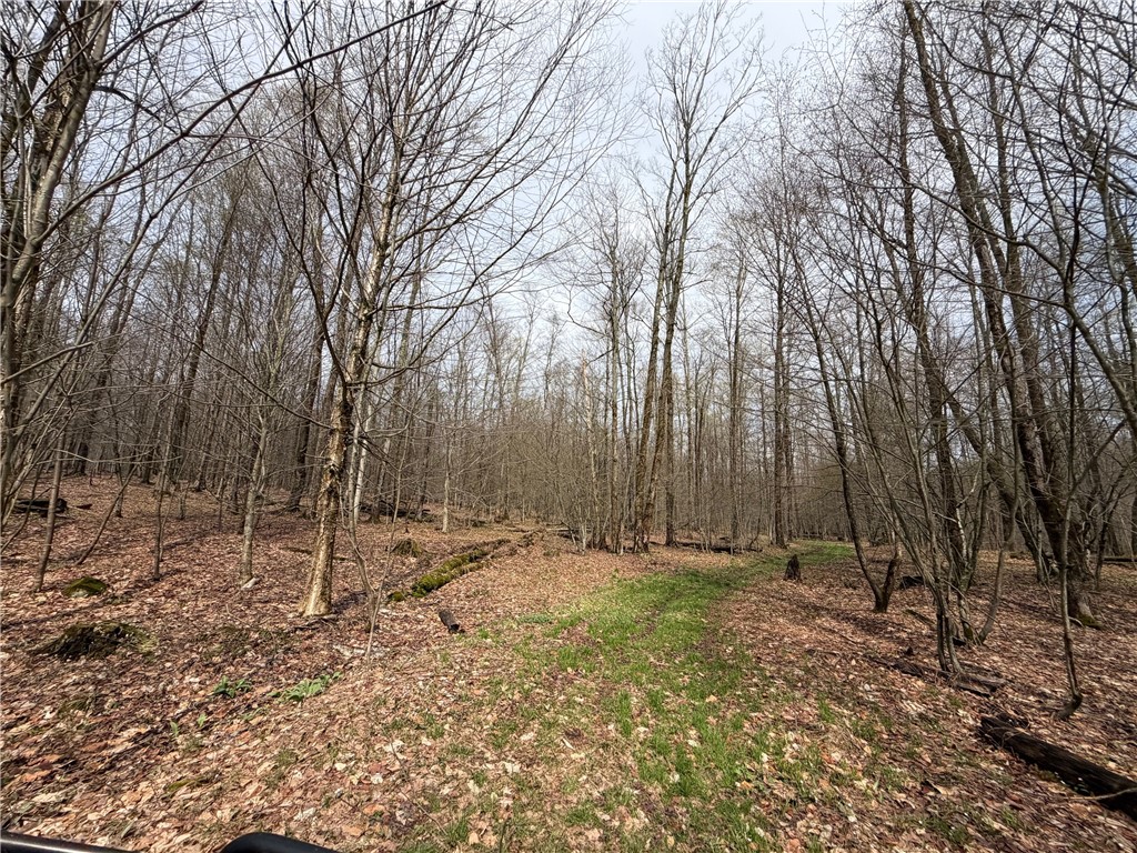 West Hill Road Gerry, NY 14740 - Photo 3 of 20
