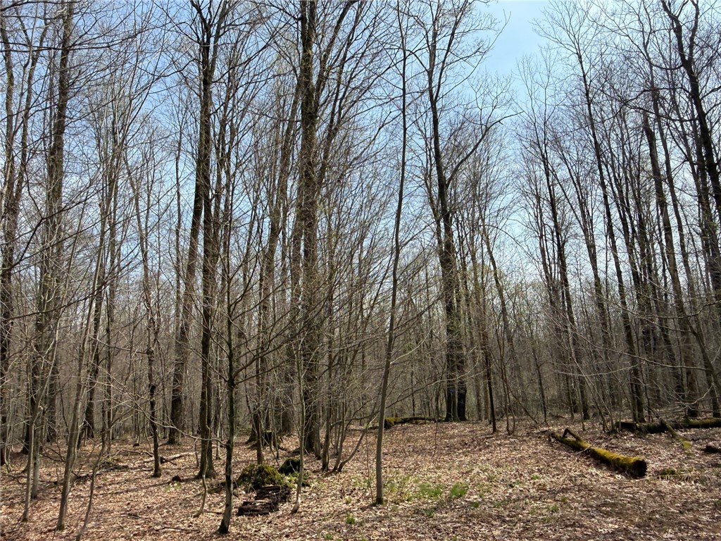 West Hill Road Gerry, NY 14740 - Photo 4 of 20