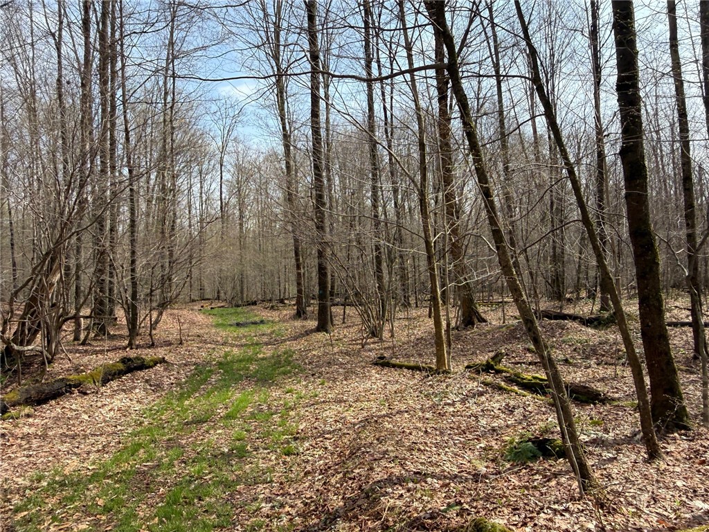 West Hill Road Gerry, NY 14740 - Photo 6 of 20