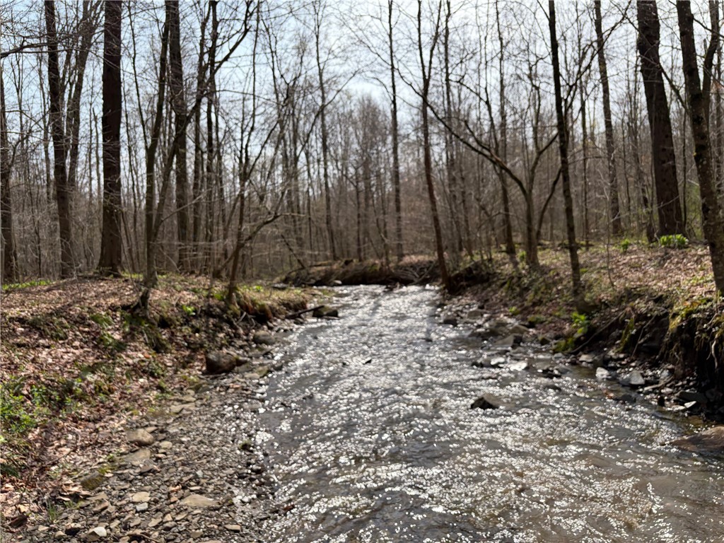 West Hill Road Gerry, NY 14740 - Photo 8 of 20