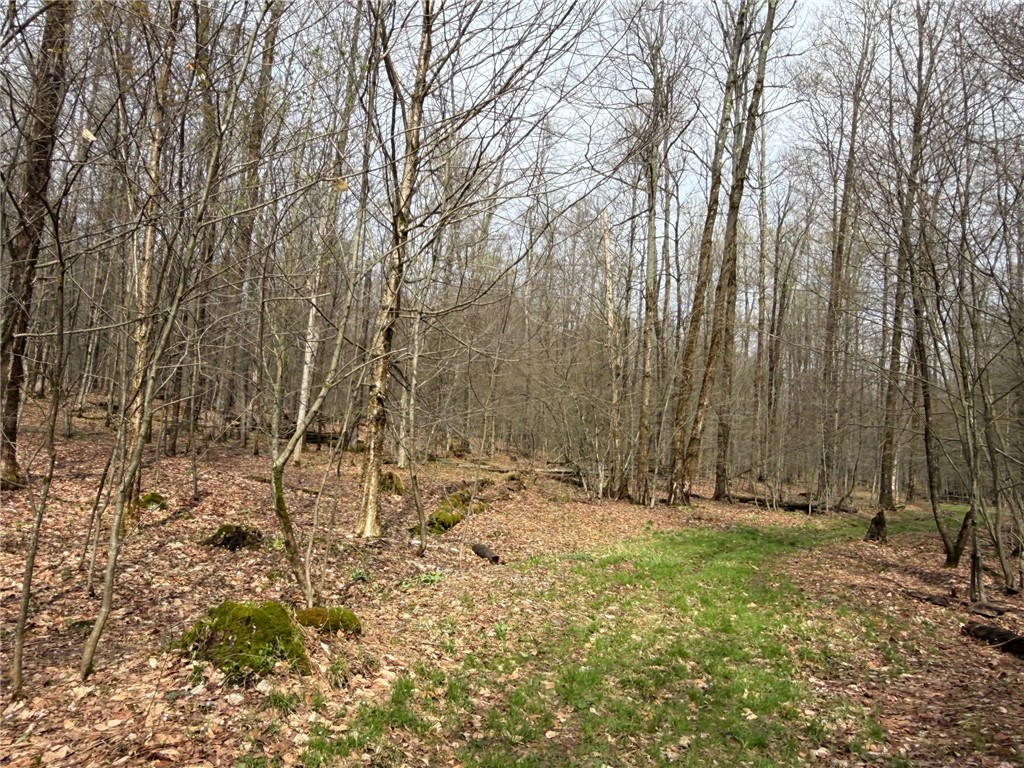 West Hill Road Gerry, NY 14740 - Photo 9 of 20