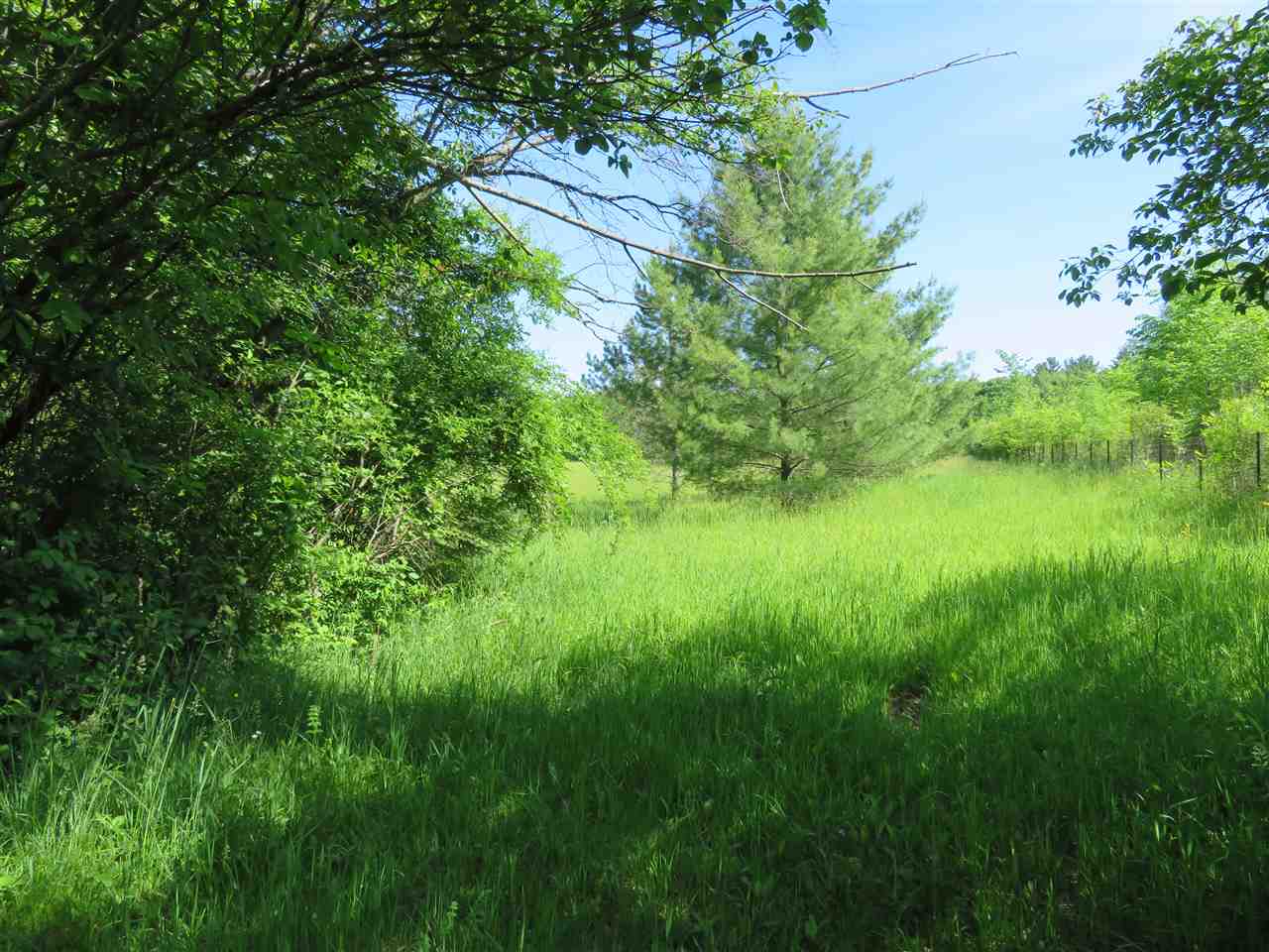 0 Howell Road Otter Lake, MI 48464 - Photo 1 of 9