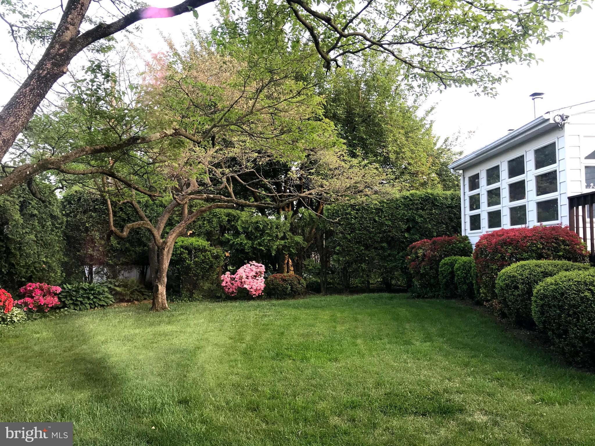 116 Eric Avenue Reading, PA 19607 - Photo 22 of 62 Private Back Yard-in Spring