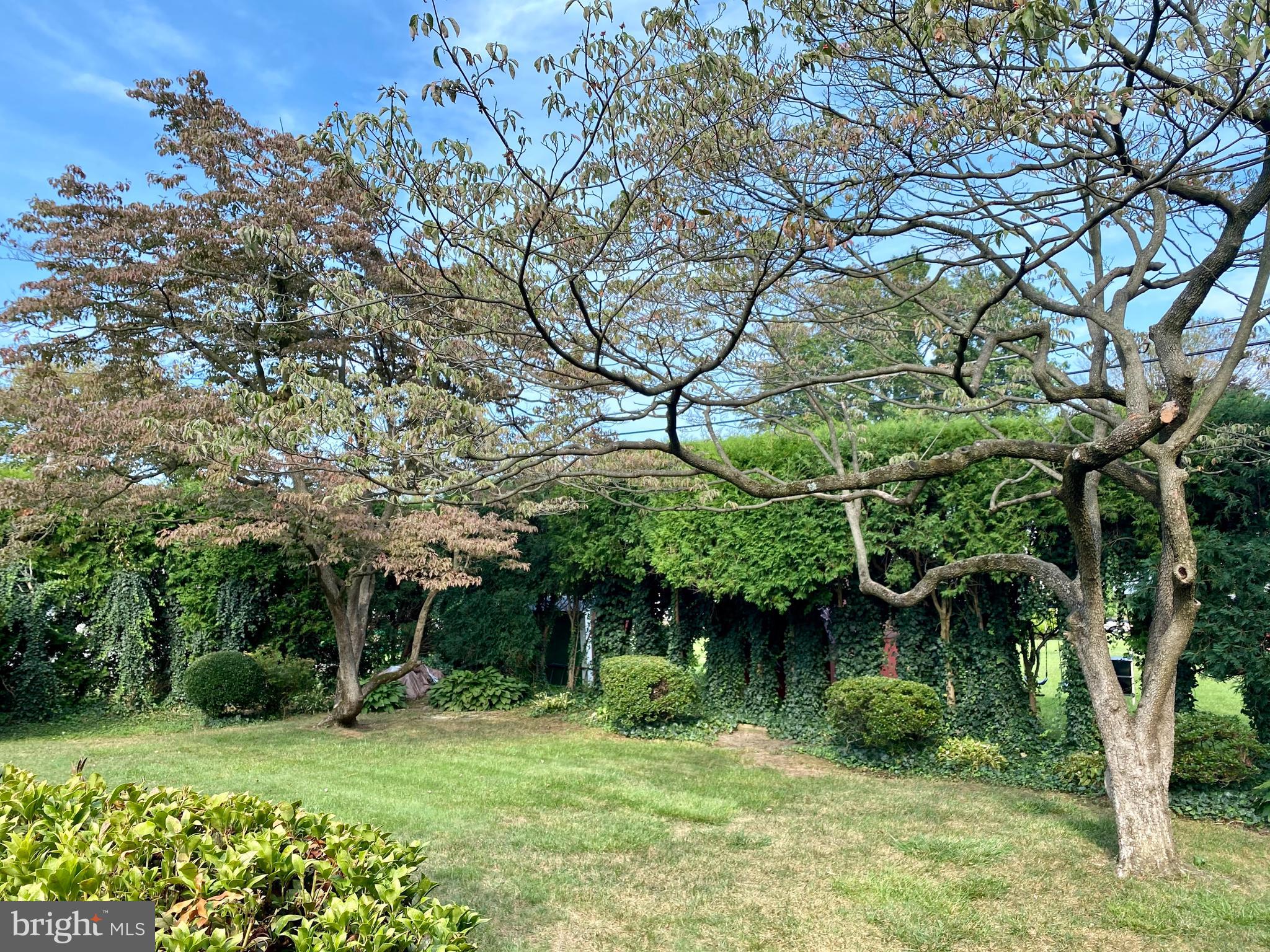 116 Eric Avenue Reading, PA 19607 - Photo 25 of 62 Rear Yard in Fall