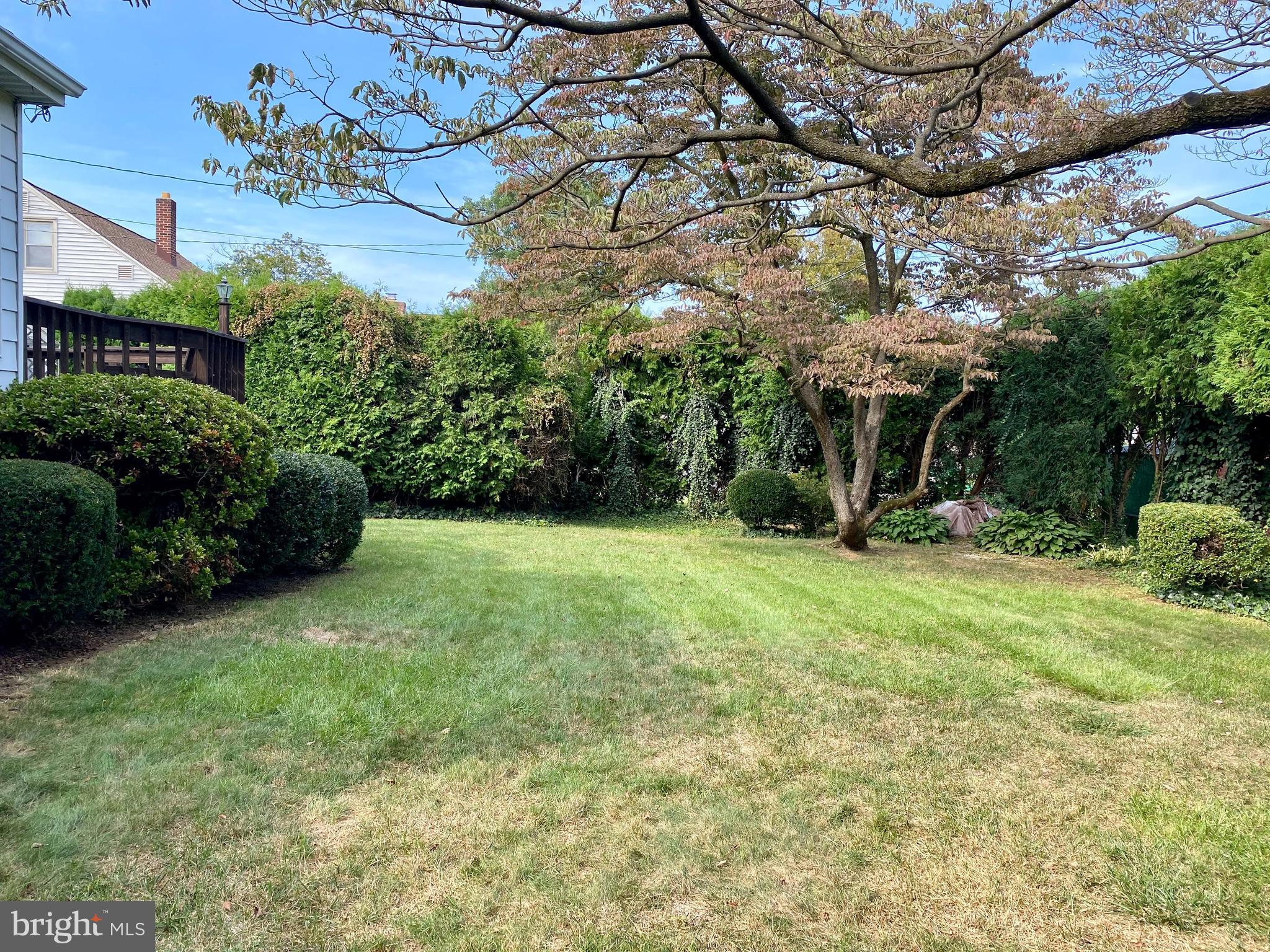 116 Eric Avenue Reading, PA 19607 - Photo 26 of 62 Rear Yard in Fall